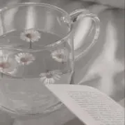 きくの画像