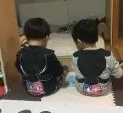 あゆたん