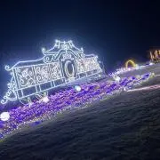 ((('の画像