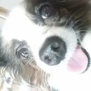 なつみかんの画像