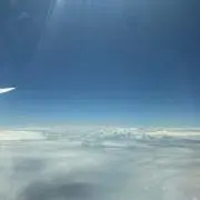 はやの画像