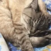 みなみ