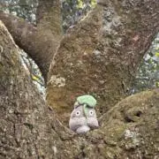 山の画像