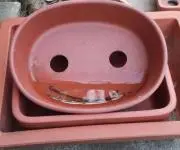 フウライ✵の画像