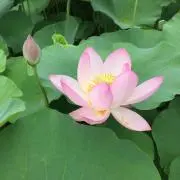 みほママ.໒꒱°の画像