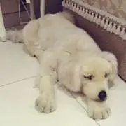 幸ちゃんママ