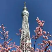 ミュンヘンフィルの画像