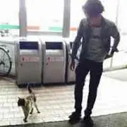 TKの画像