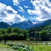 水の森の画像