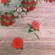 irisの画像