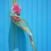 momoの画像