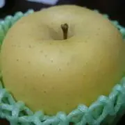 カワセミの画像