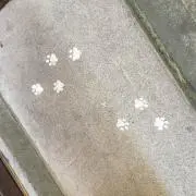 ピンクうさぎ