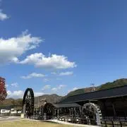 はるの画像