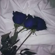 riiiiiichan❤︎【プロフ必読】