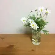 sayamiの画像