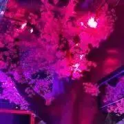 マの画像