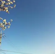 ちょろすけ。