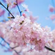 ★美能達★の画像