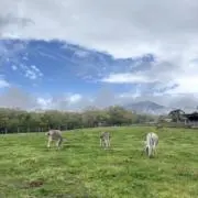 しゅんやの画像