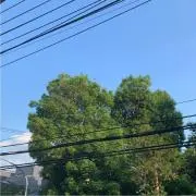 yamakoの画像