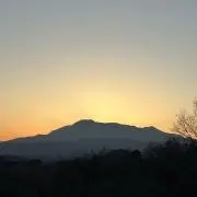 Mの画像