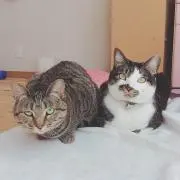 あい