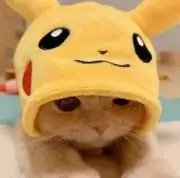 ☆