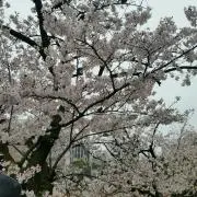 ☆K☆即購入OKの画像