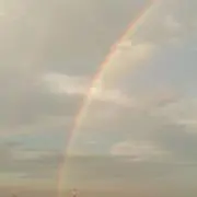 のっちの画像