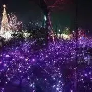 ゆうこの画像