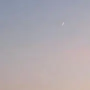 ひかりの画像