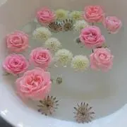 おはなの画像