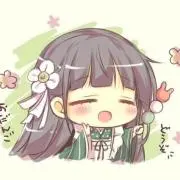 Reバース ブルーアーカイブ アリス(メイド) PP - メルカリ