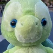 otoの画像