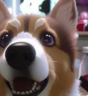 ももたろの画像