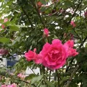 光愛（プロフ参照下さい）の画像