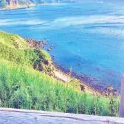 ジーニーの画像