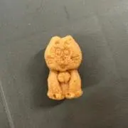 moriの熊の画像