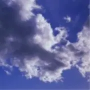 わこ