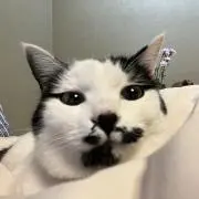 にに