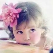 とらこ