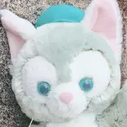 ねねの画像