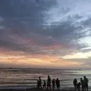 MSTの画像