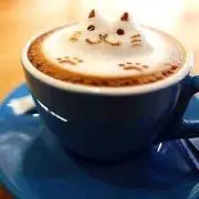 Moka