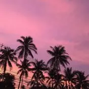 nの画像