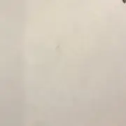 めろんの画像