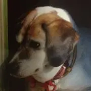 ベルの画像