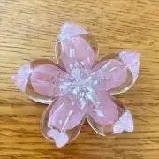 とも✿の画像