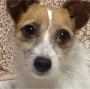 ちゃあちゃんの画像
